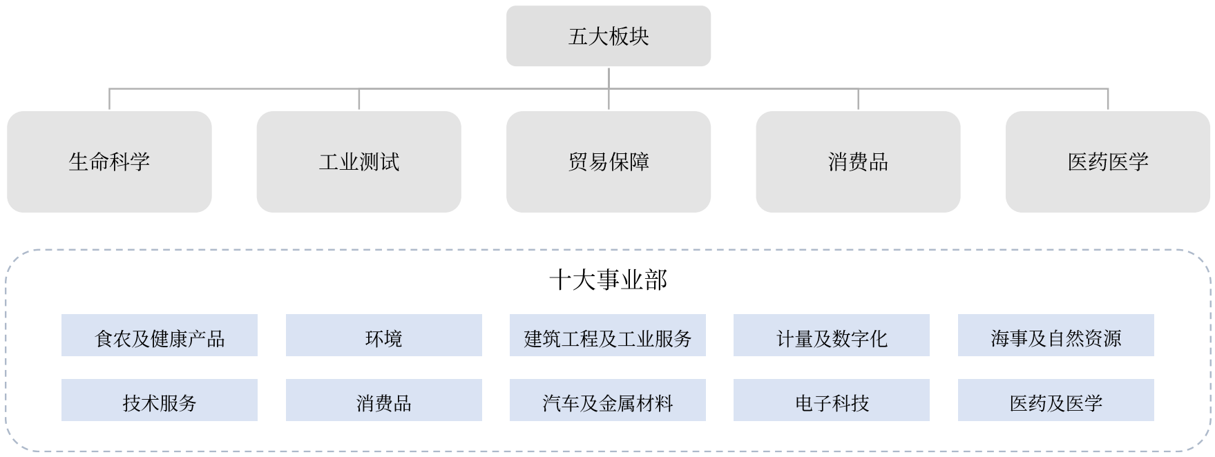 五大板块.png