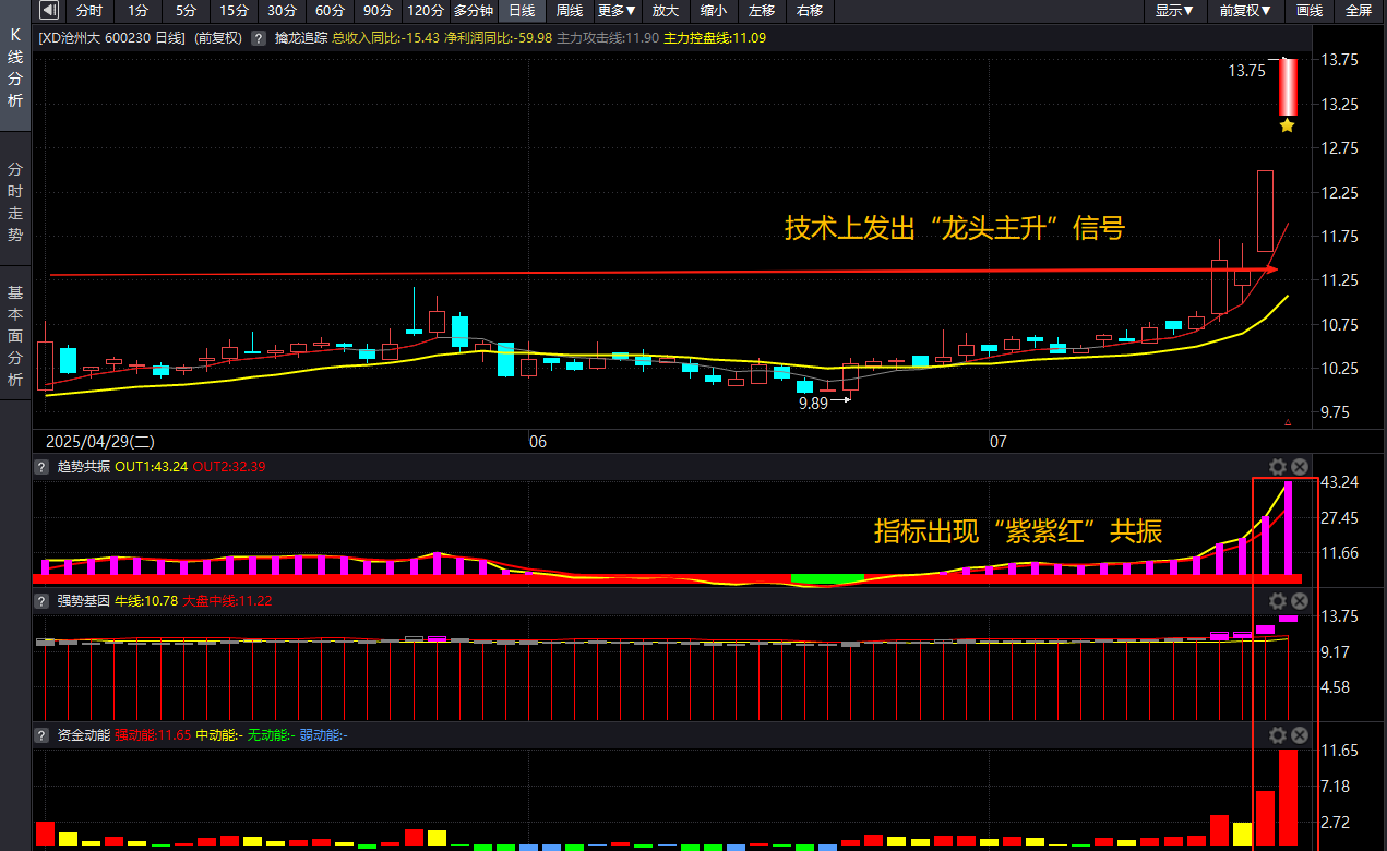 技术图沧州大化.png