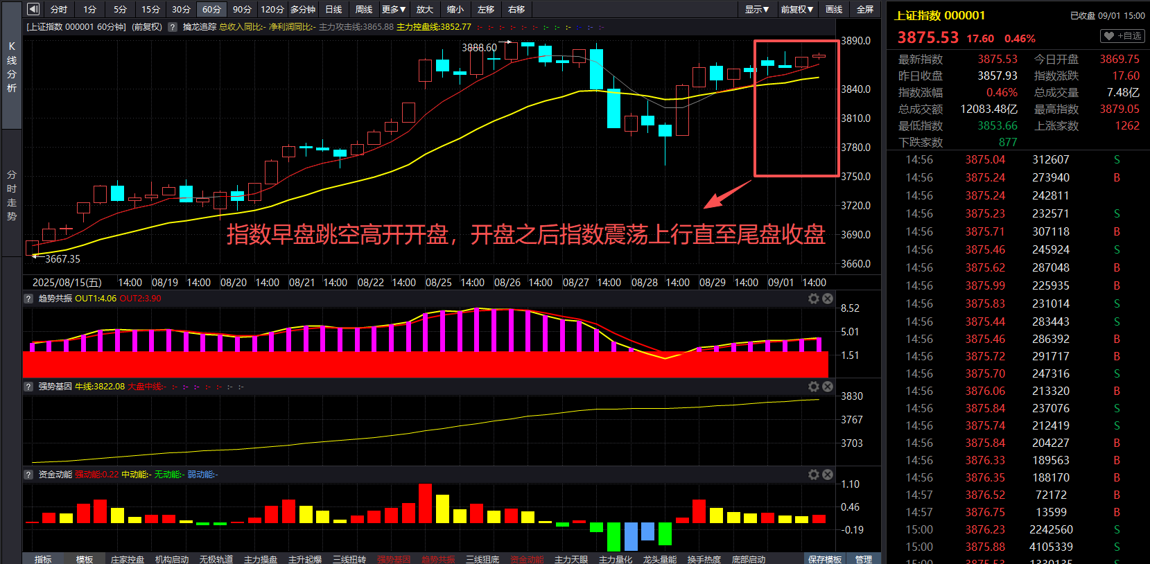 d78d221d-f553-41a5-85d0-334369927135.png